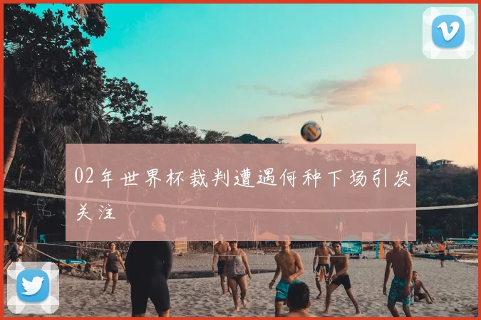 02年世界杯裁判遭遇何种下场引发关注