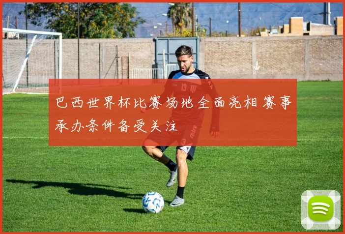 巴西世界杯比赛场地全面亮相 赛事承办条件备受关注